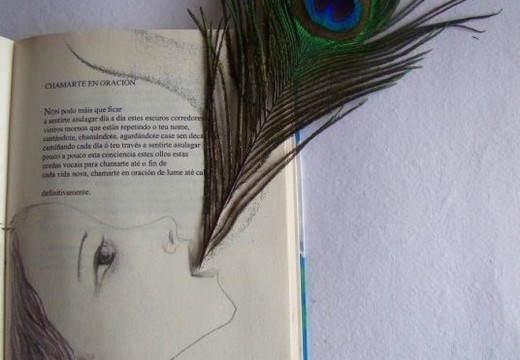 A arte e a literatura dialogan na exposición ‘A cara oculta dos versos’, que chega ás bibliotecas públicas no Día da Poesía